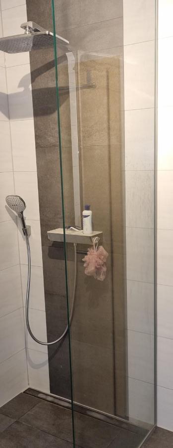 Apartment Bergidyll Schwarzenberg (Saxony)