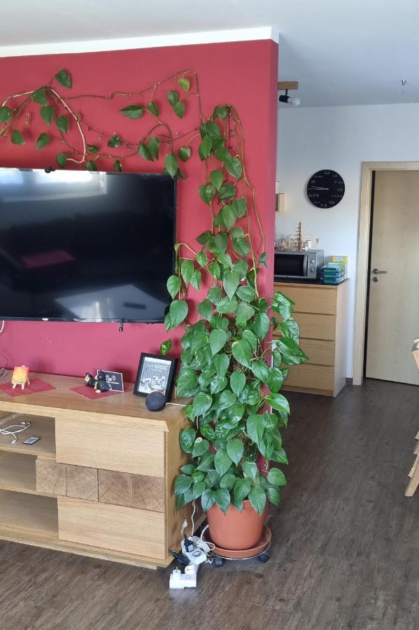 Bergidyll Apartment